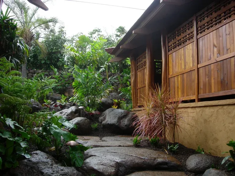 Stone path beside a wooden house, surrounded by lush tropical plants and rocks.
