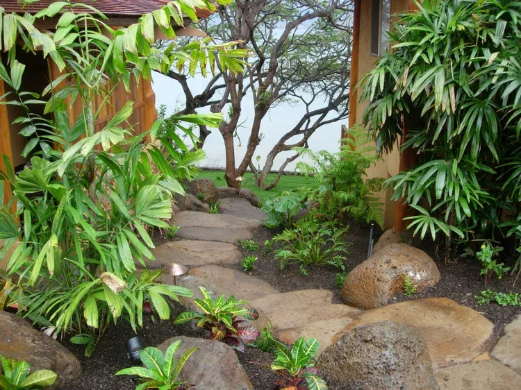 Tropical garden path with rocks, lush green plants, and trees leading toward water