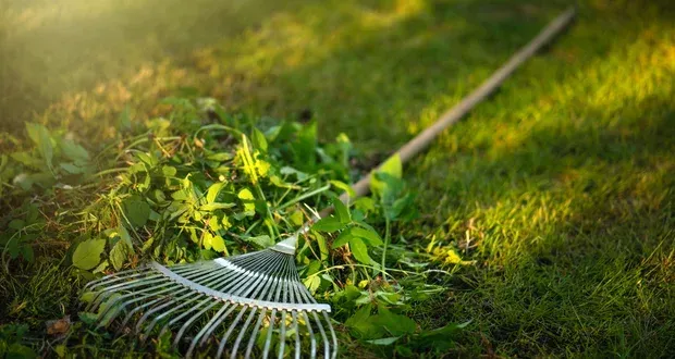 landscape cleanups in west bloomfield mi
