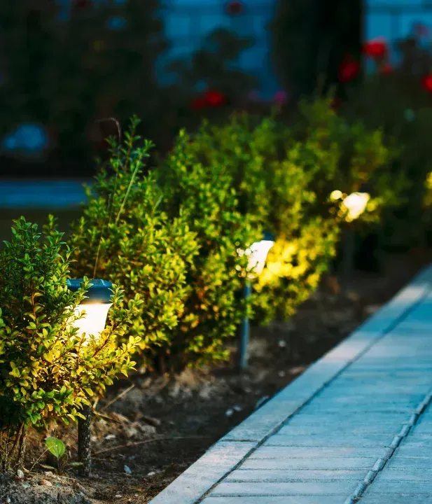 landscape lighting solutions in west bloomfield mi