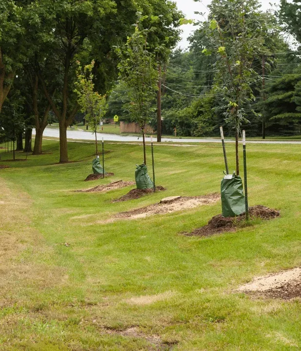 local tree installers in west bloomfield mi