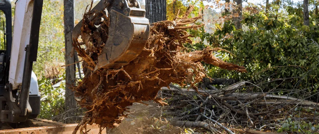 property land clearing west bloomfield mi 