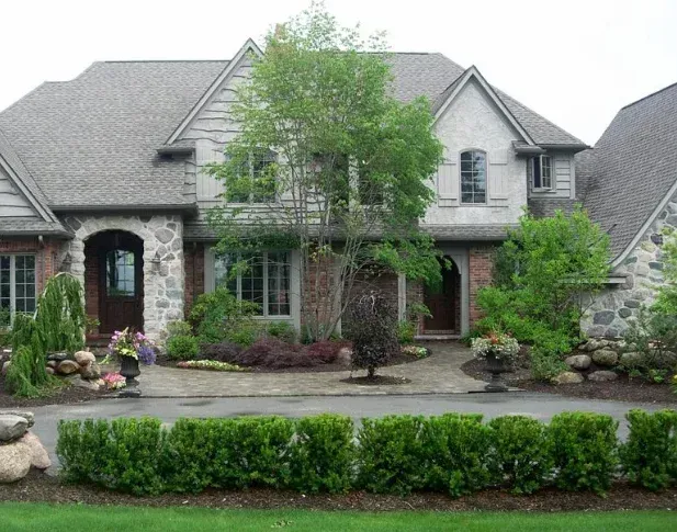 tree installation experts in west bloomfield mi