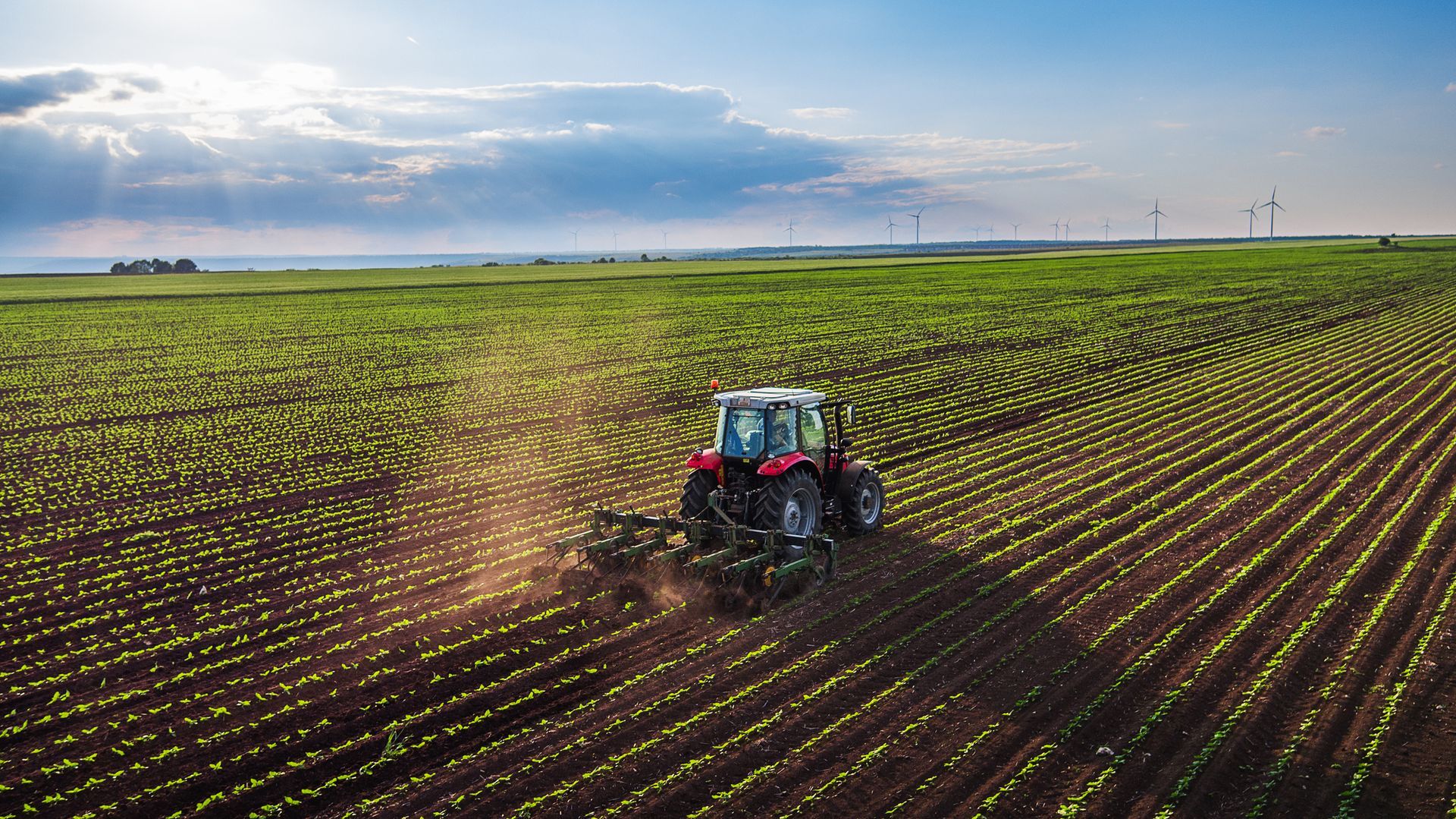 Farm Law Dispute
