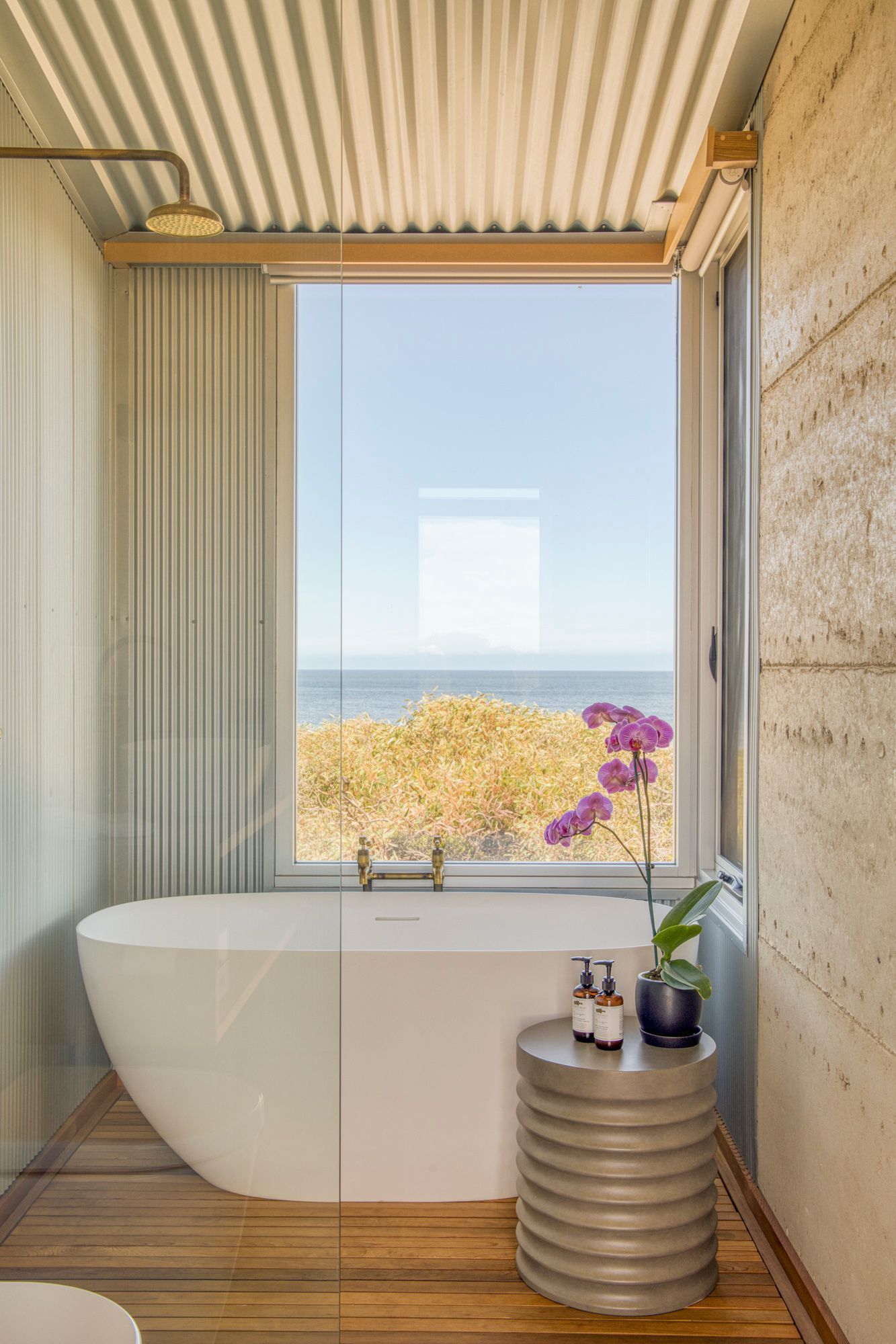 Elegant Bath tub with a view