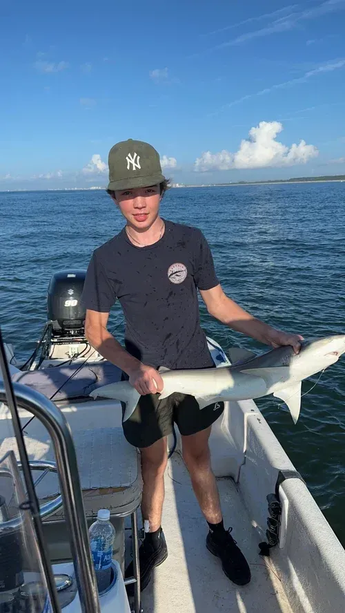 Teen holding a small shark on a boat, blue water and sky in the background.