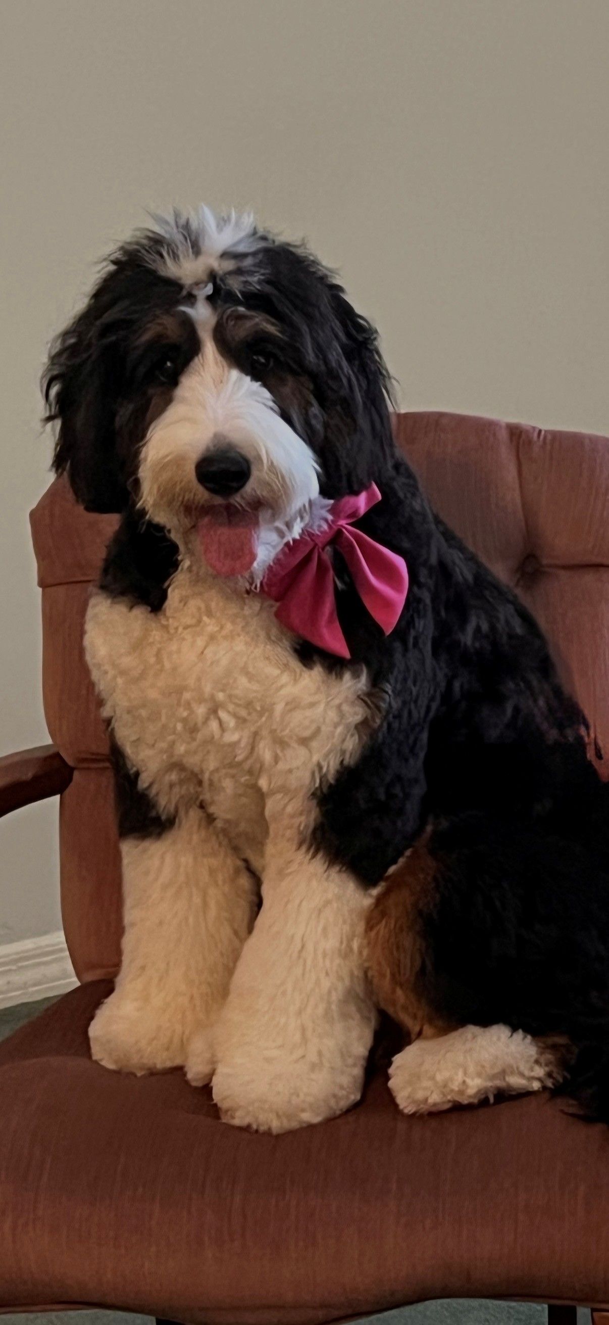 LULA MAE