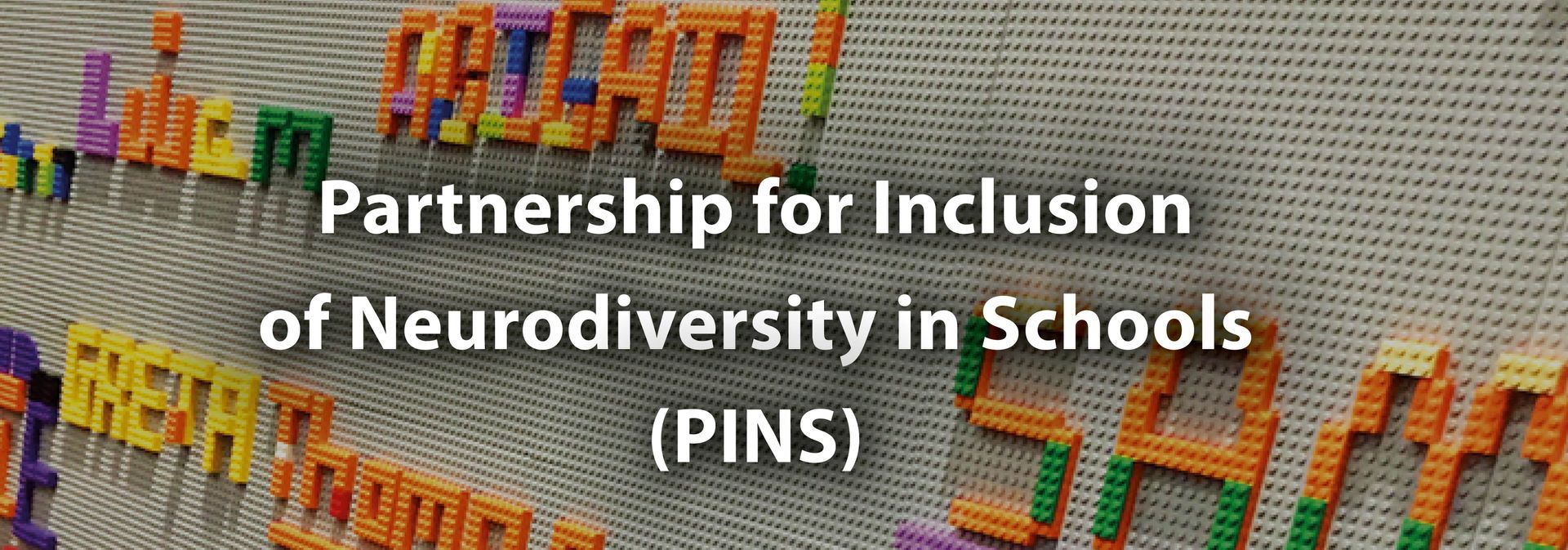 PINS - supporting neurodiverse pupils, to benefit from a more inclusive mainstream environment.
