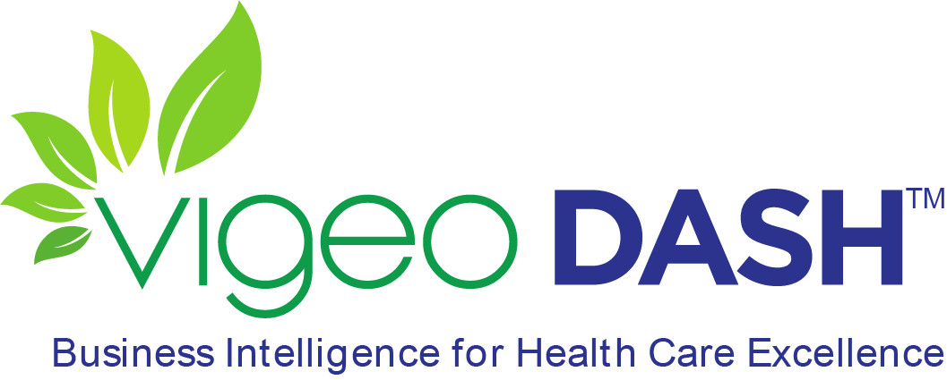 VigeoDash Logo VigeoDash Logo