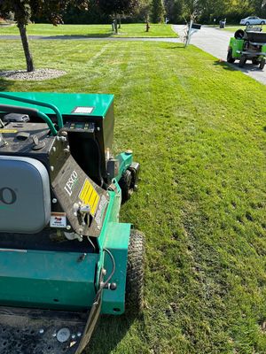 A green lawn mower is cutting a lush green lawn.