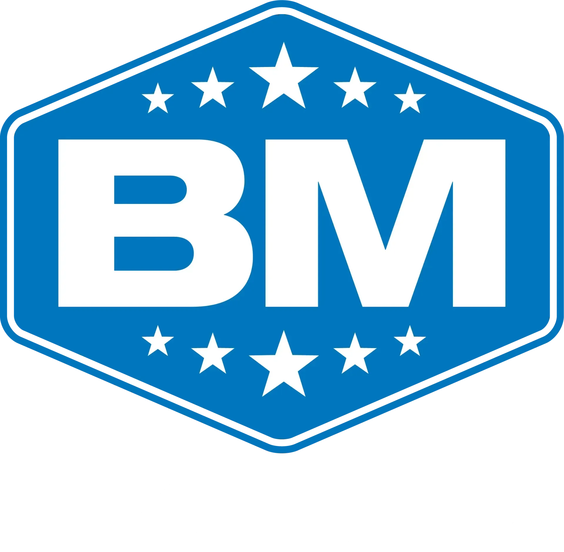 BM Skylights - Wollongong Skylights Specialists logo