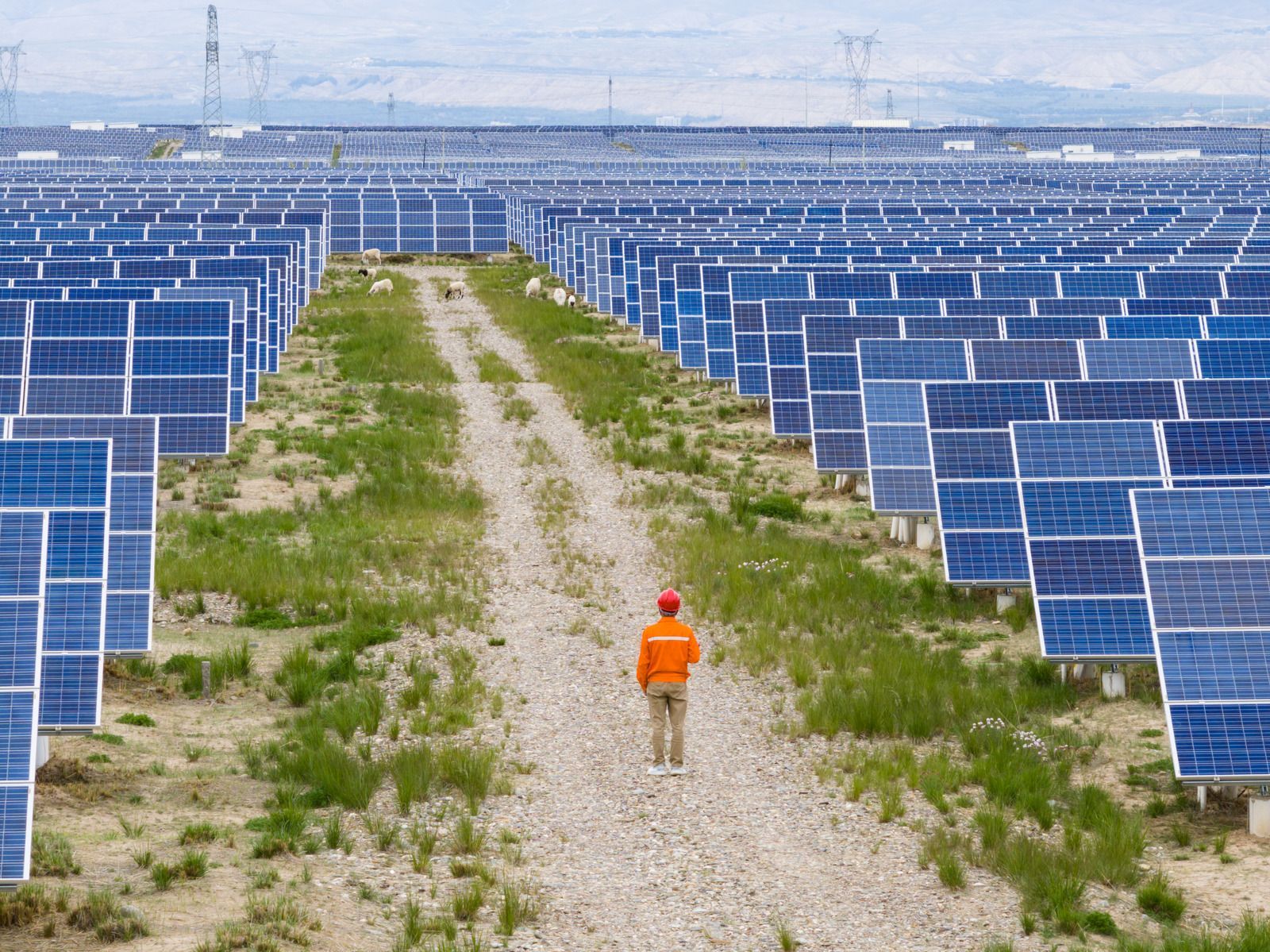 Person in an orange jacket walking between rows of blue solar panels on a gravel path