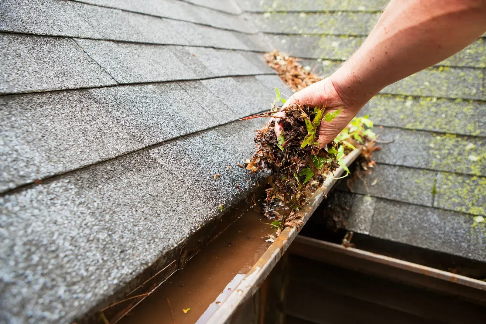 House roof with gray shingles and a white gutter on the eaves, showing a gutter guard installation