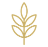 Gold minimalist leaf logo on a white background