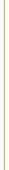 Thin vertical gold striped bar divider