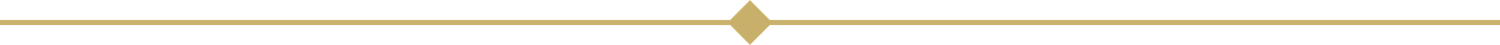 Thin gold horizontal bar with a small diamond-shaped ornament centered on a light background