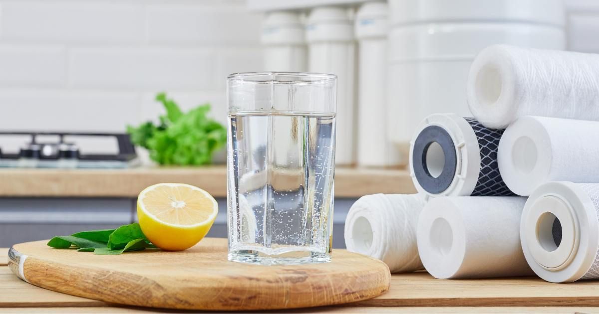 glass of clean water with lemon and water filters