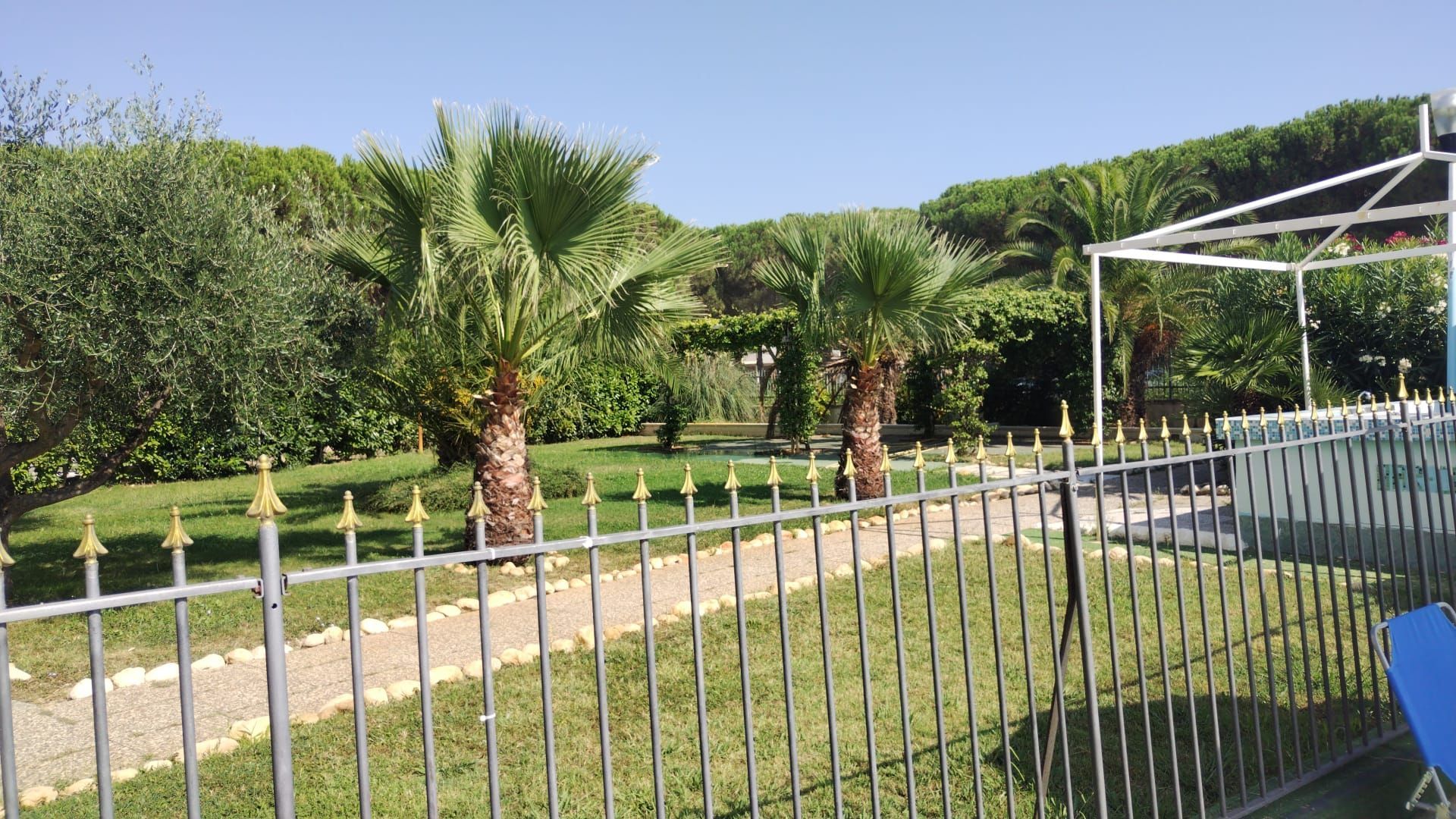 Palme e un giardino erboso dietro una recinzione bianca, sotto un cielo azzurro e limpido.