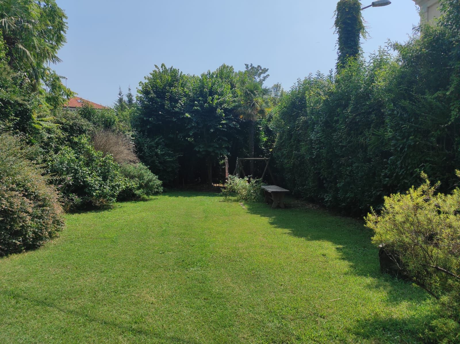 Un prato soleggiato nel cortile sul retro, delimitato da fitte siepi verdi e alberi, sotto un cielo azzurro limpido.