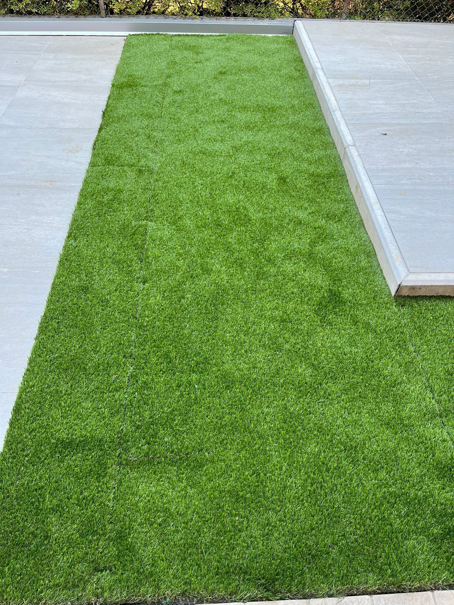 Una stretta striscia di erba verde, delimitata su entrambi i lati da lastre di cemento grigio chiaro.