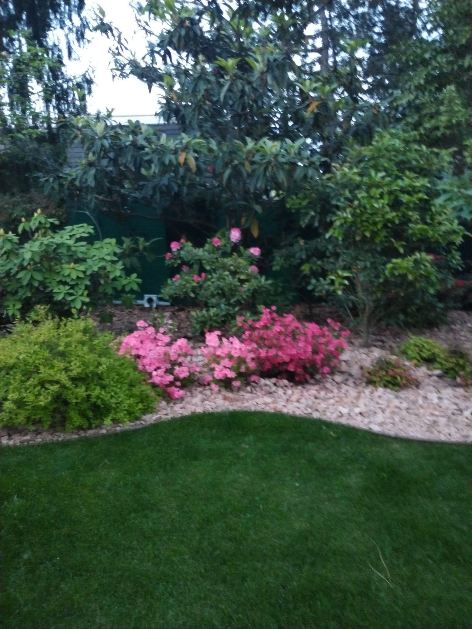 Aiuola con fiori rosa, arbusti verdi e alberi accanto a un prato e a un bordo di ghiaia.