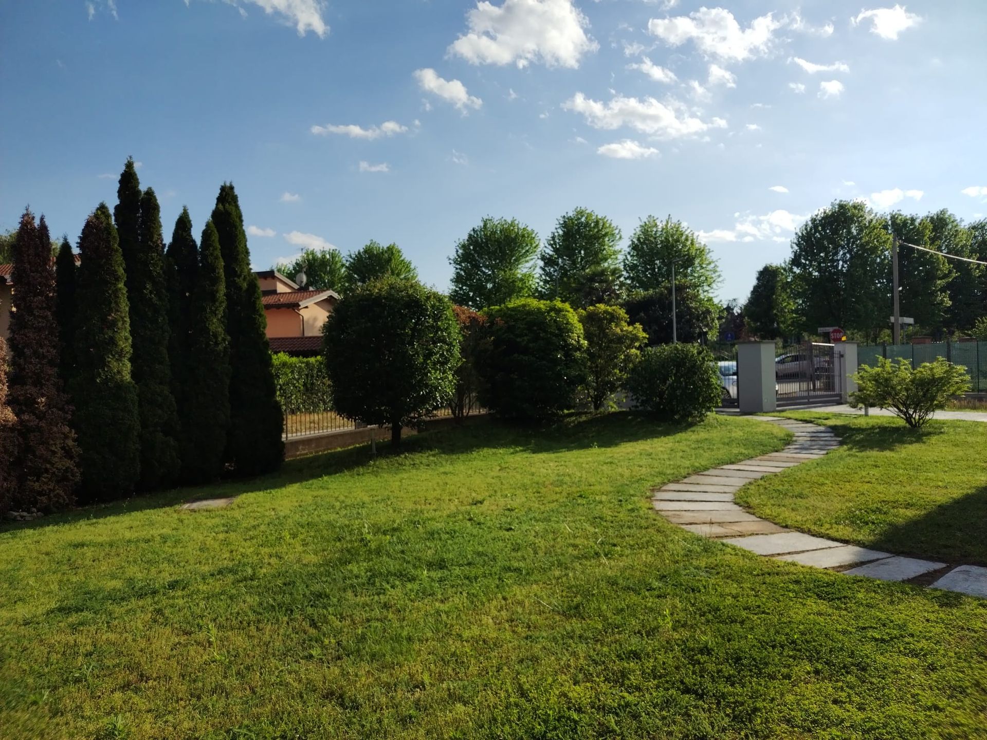 Giardino soleggiato con prato verde, alberi e un sentiero di pietra sinuoso sotto un cielo azzurro