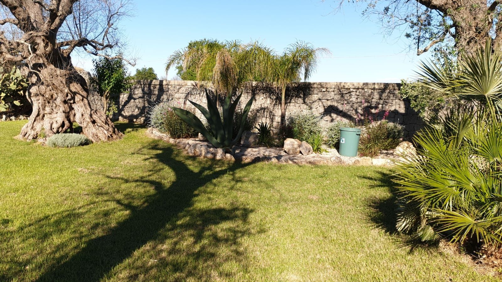 Giardino soleggiato con prato, muro in pietra, alberi e arbusti.