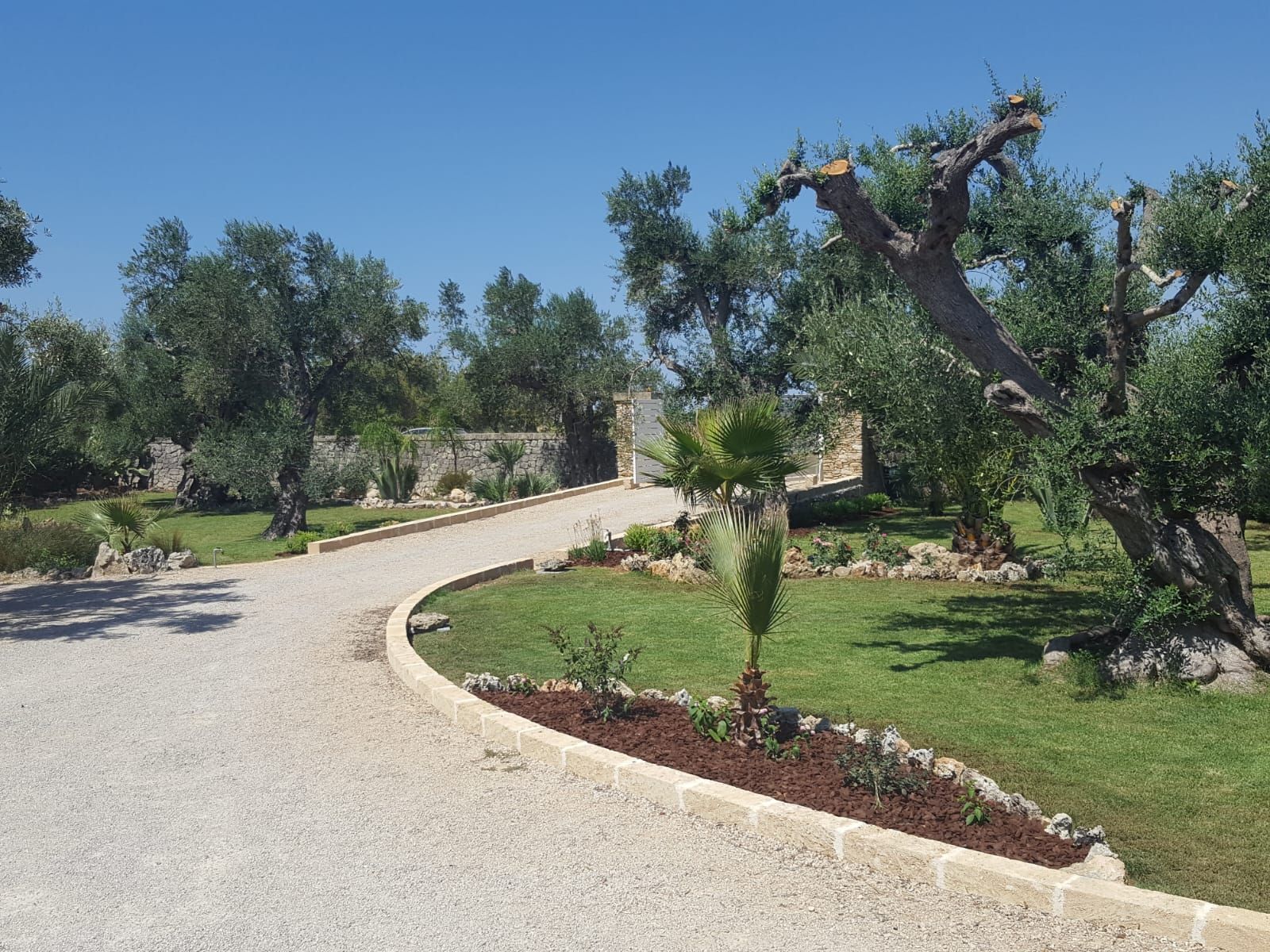 Un vialetto di ghiaia sinuoso attraversa un giardino paesaggistico con alberi, erba e cielo azzurro.