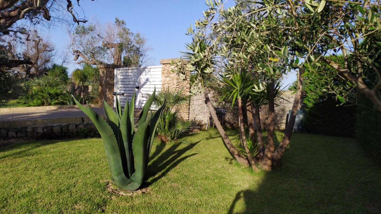manutenzione giardini