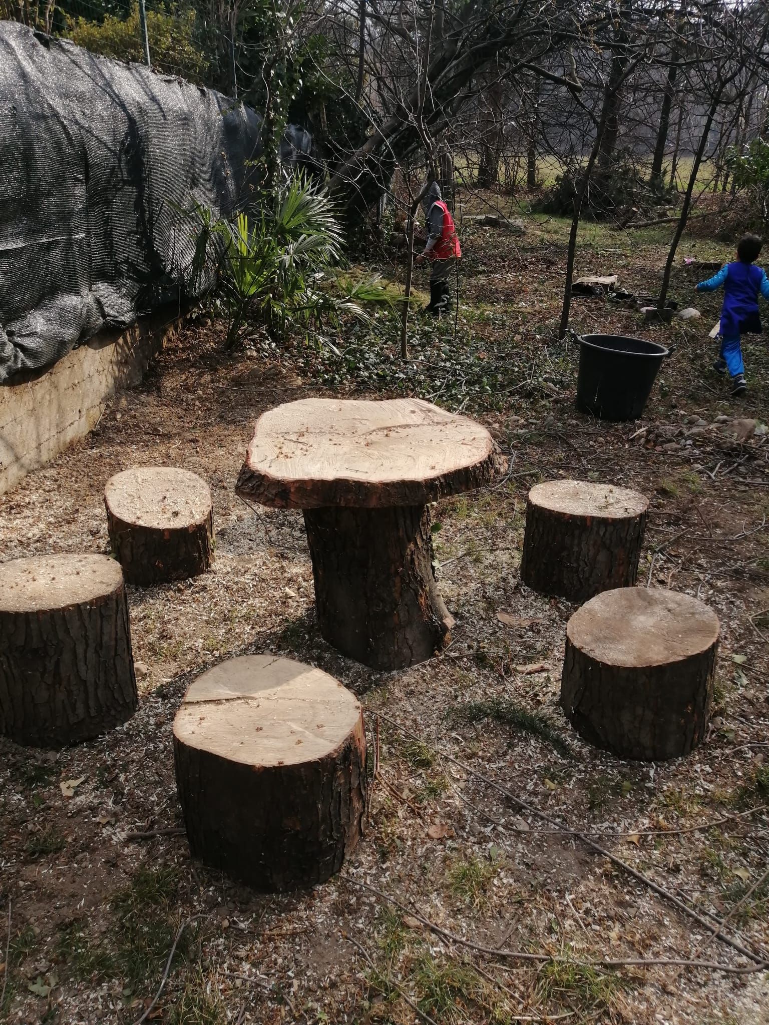 Sedie ricavate da ceppi d'albero disposte in cerchio all'aperto, con due persone sullo sfondo vicino a un muro e agli alberi.