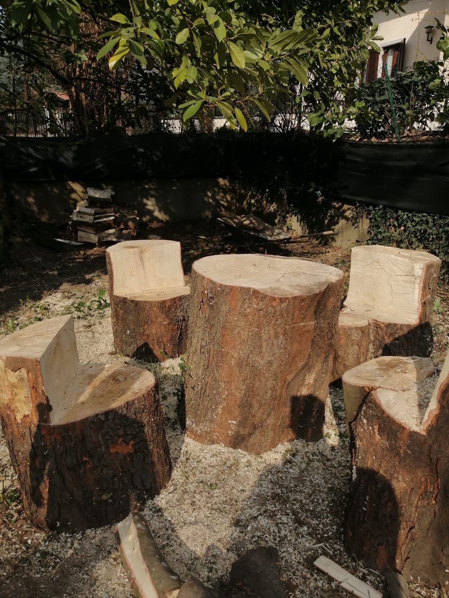 Sedute rustiche da esterno realizzate con tronchi d'albero tagliati, in una zona ombreggiata del giardino.