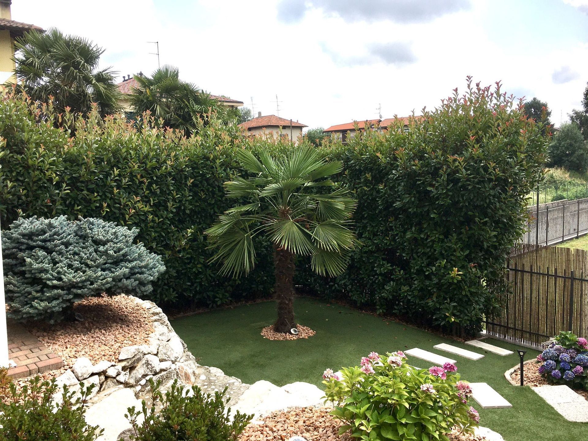 Giardino sul retro con una palma, siepi fitte, rocce e piante fiorite sotto un cielo luminoso