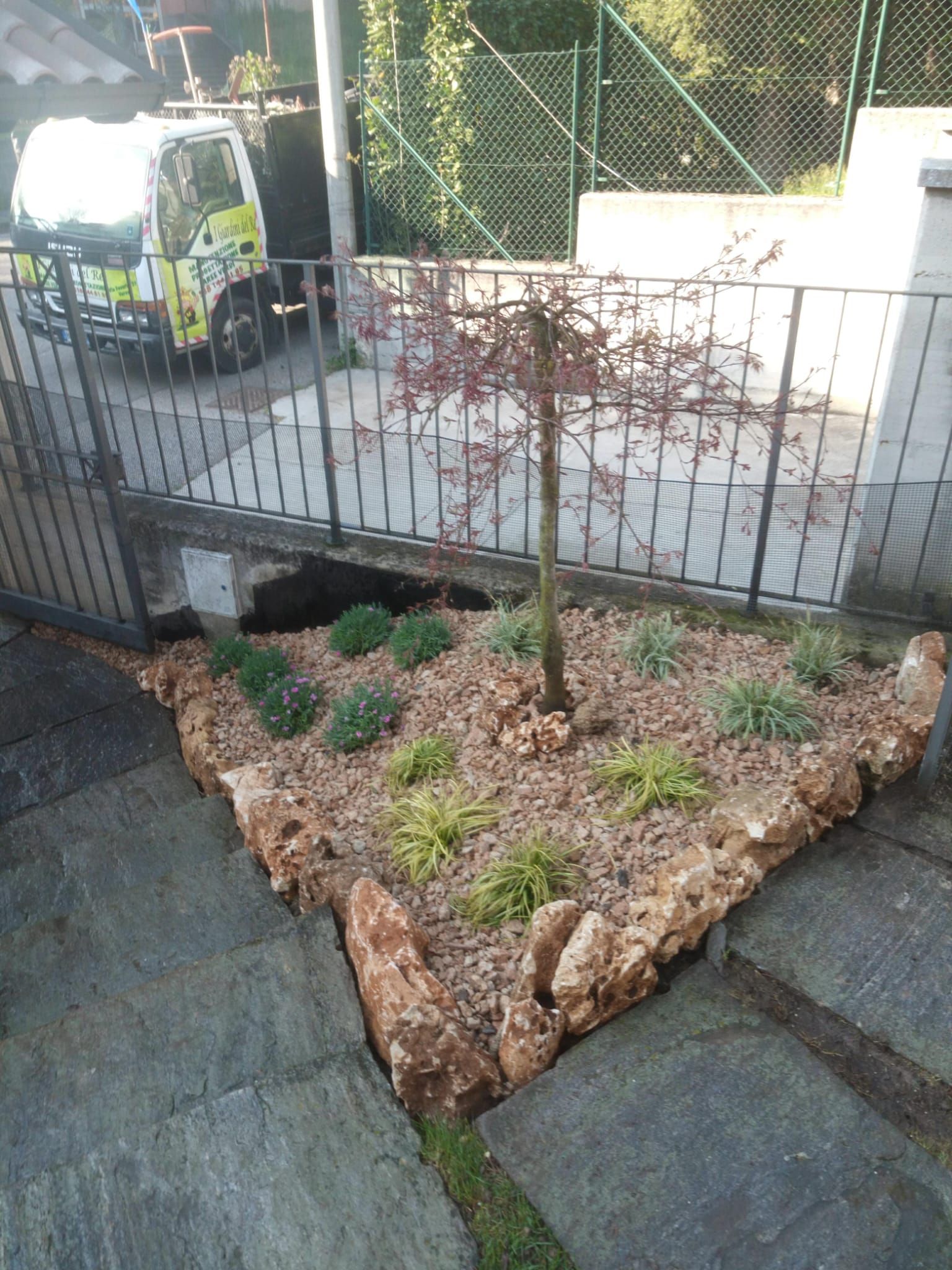 Piccola aiuola triangolare con un giovane albero, arbusti e pacciame, accanto a un marciapiede recintato e a un camion di servizio parcheggiato.