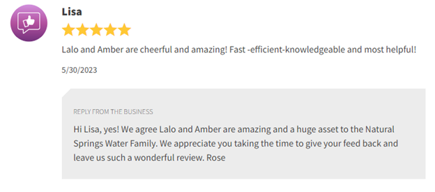 Review screenshot from Lisa praising Anna and William for helpful, fast service at Natural Springs Water Family.