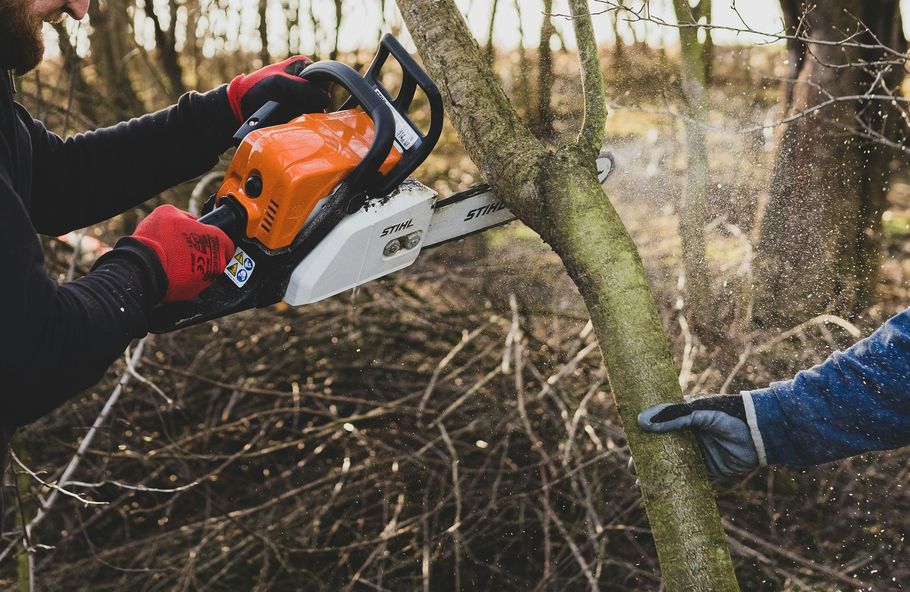 Person using an orange chainsaw to cut a tree branch outdoors while another points nearby