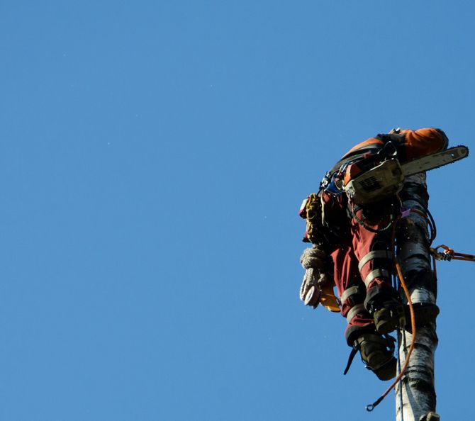 Worker in safety gear perched atop a utility pole against a clear blue sky