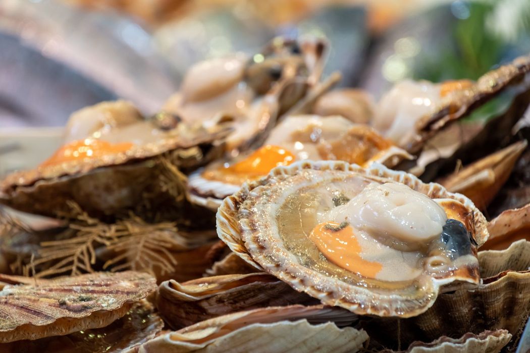 Ostriche fresche con uova arancioni su ghiaccio in un mercato del pesce