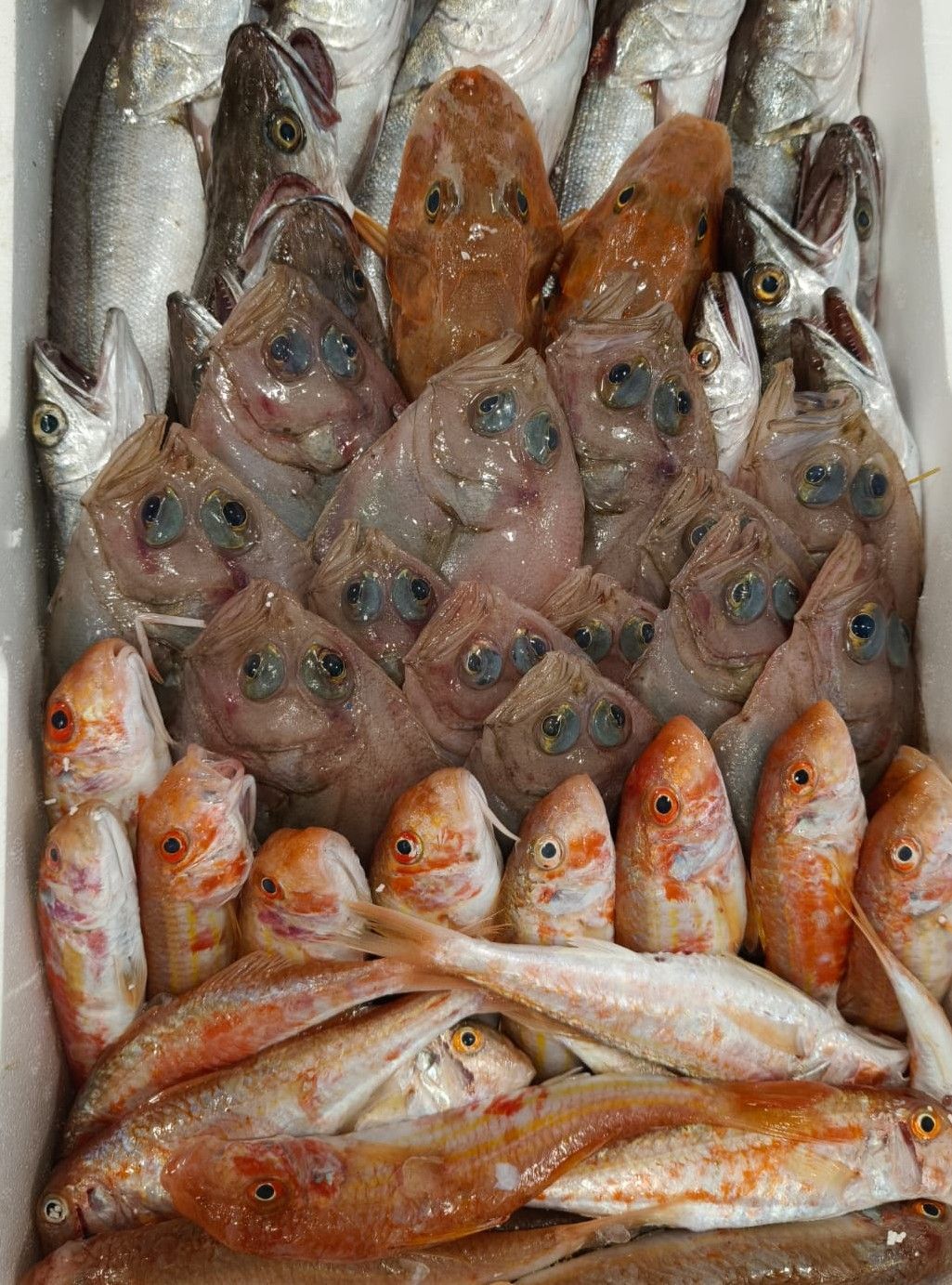Un venditore offre pesce fresco al banco del mercato, con frutti di mare esposti sul ghiaccio.
