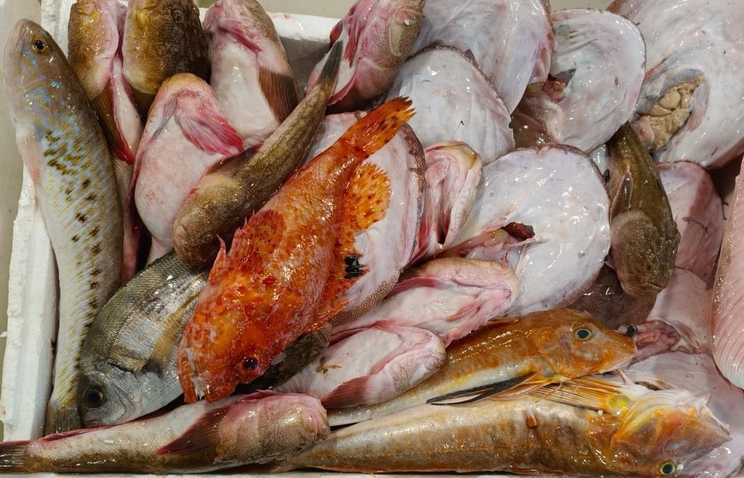 Pesce fresco esposto al mercato, tra cui pesce rosa e argentato conservato nel ghiaccio.