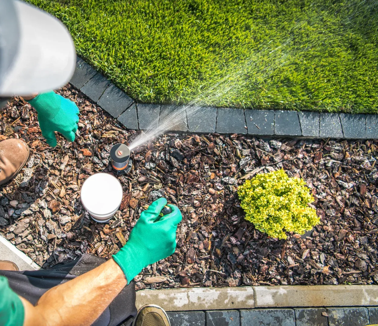 Person adjusting a lawn sprinkler with green gloves; garden with green grass, mulch, and a small bush.