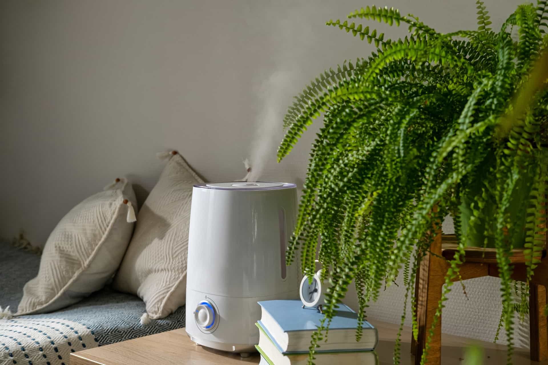 What Does a Humidifier Do? Health Benefits of Using a Humidifier