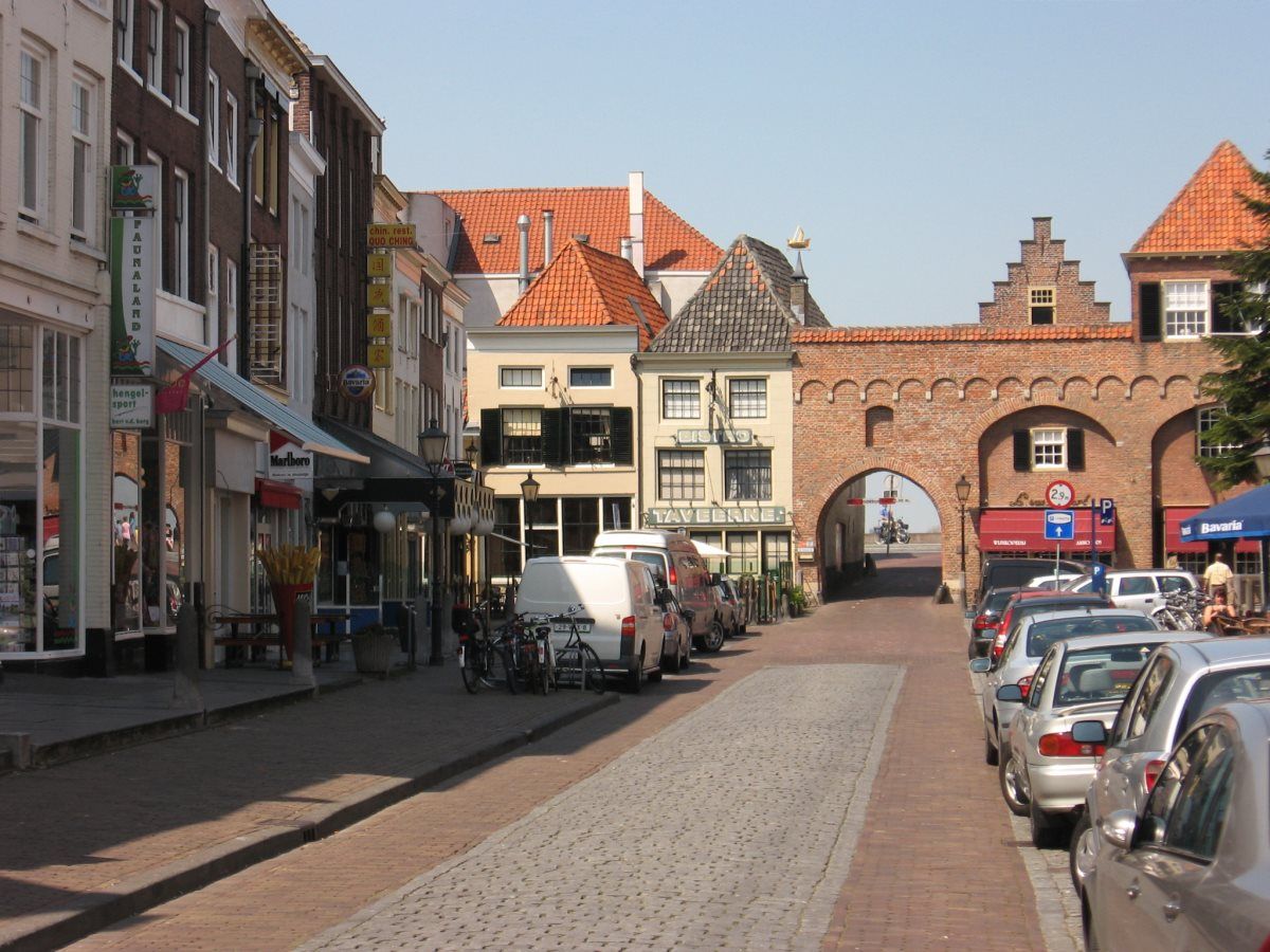 Een rij auto's staat geparkeerd op een geplaveide straat