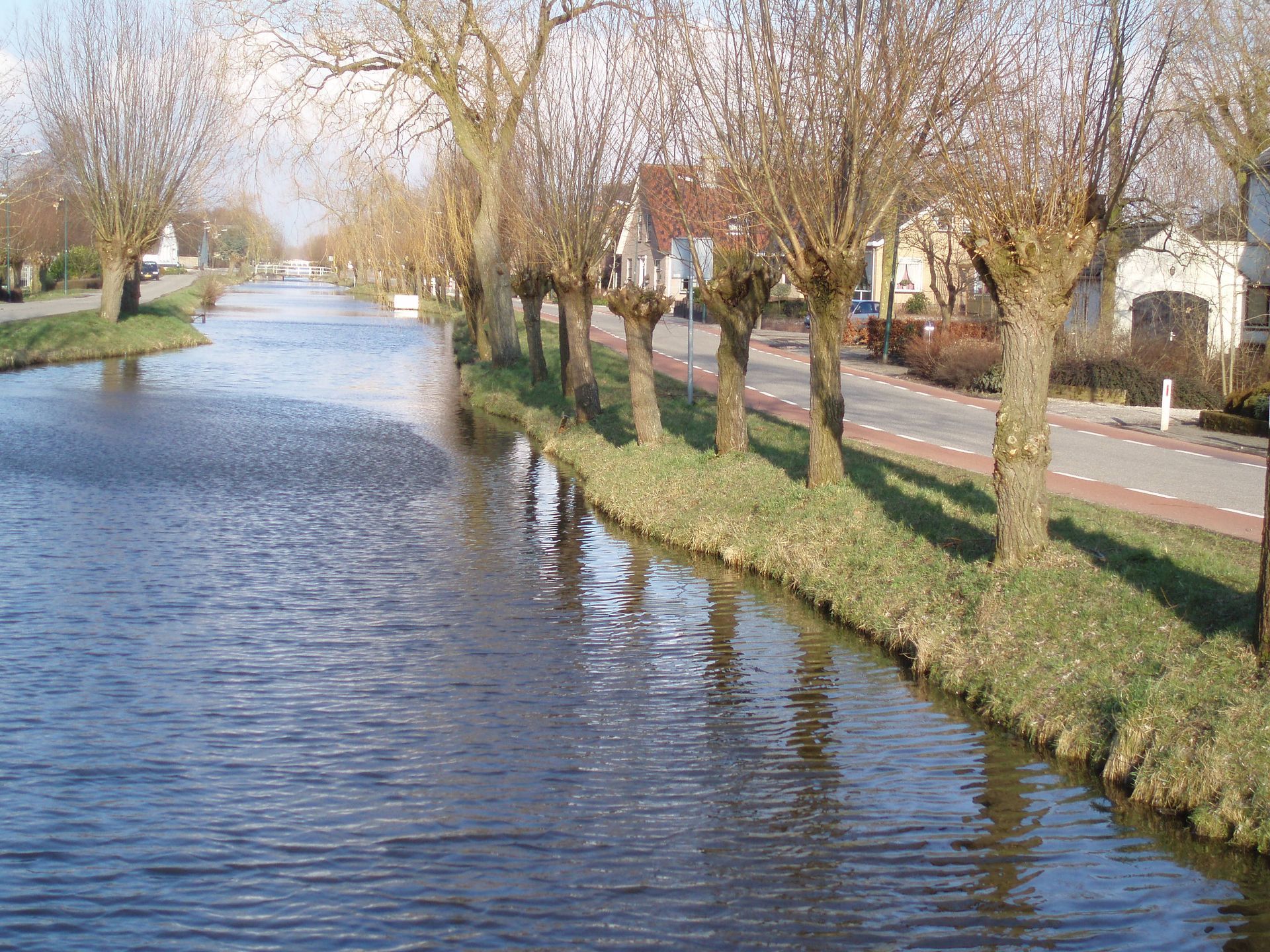 Een rij bomen langs de oever van een rivier