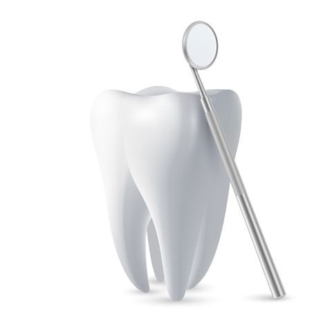 A tooth with a dental mirror attached to it.