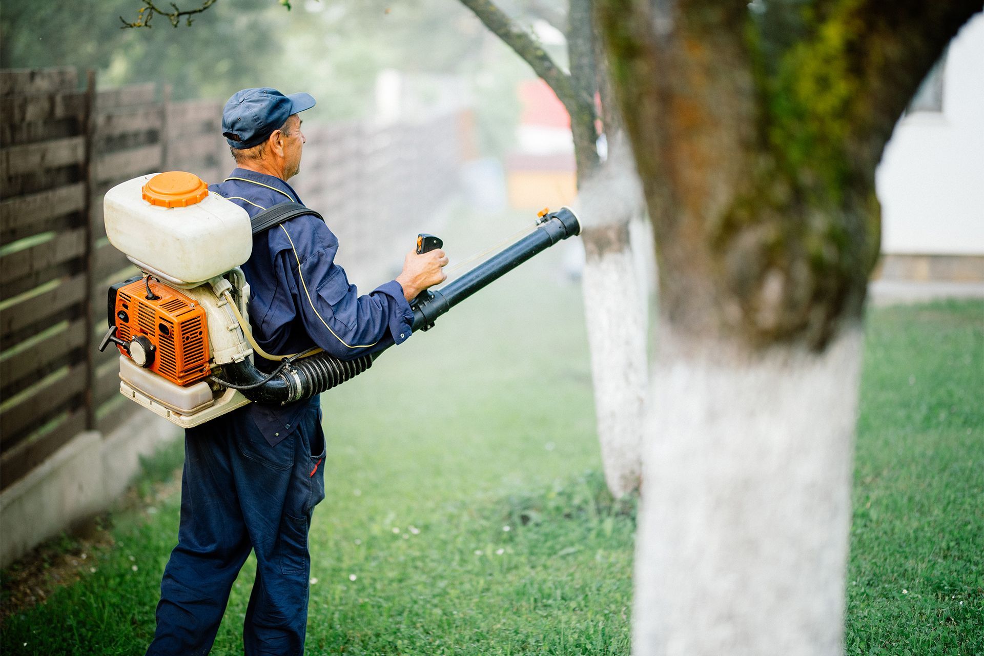 man spraying pest control