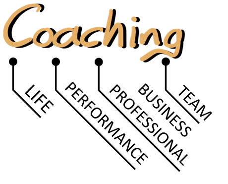 Story Shifter Coaching Apeldoorn Chris Gieling Life coaching Performance coaching Business Professional coaching Team coaching