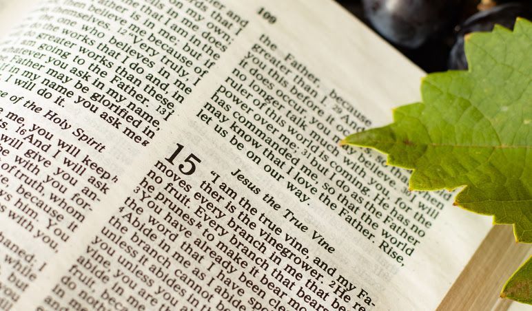 Open Bible with the number 15 marked, beside a green leaf