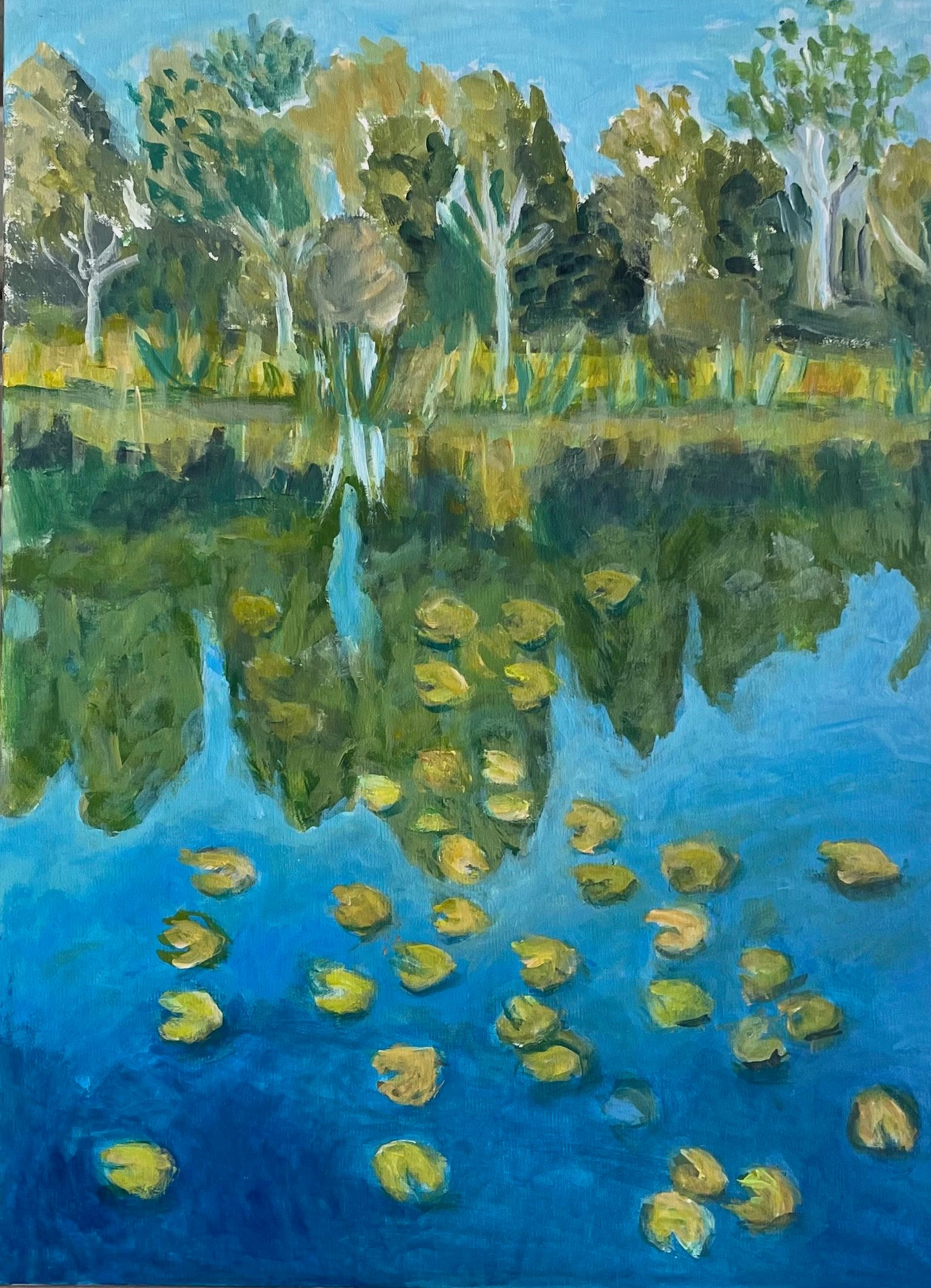 Blue pond with yellow water lilies and trees reflected along the shoreline