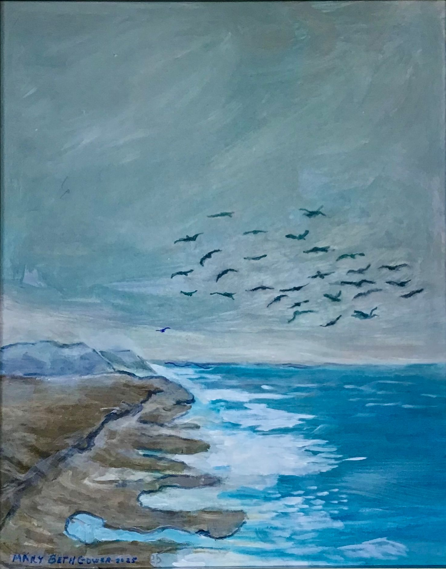 Rocky coastline with blue ocean, white surf, and a flock of birds in a cloudy sky.