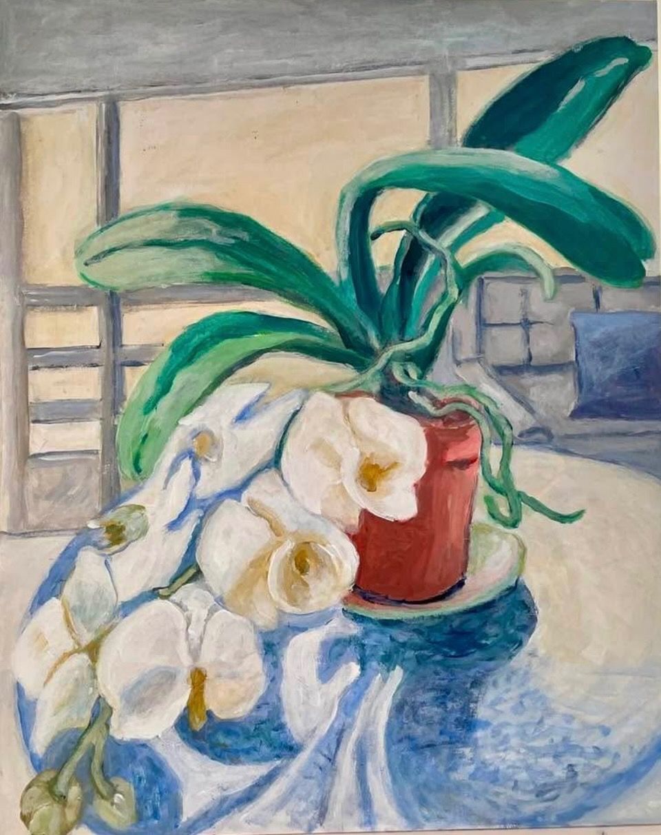 White flowers in a red pot on a blue draped table, with green leaves before a window.